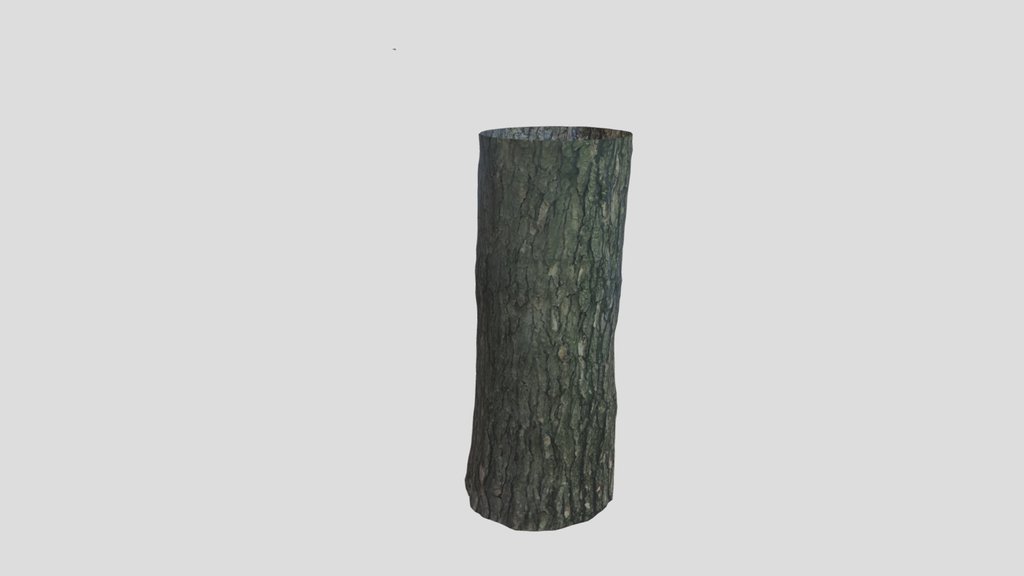Tree Trunk