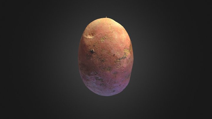 Red potato 3D Model