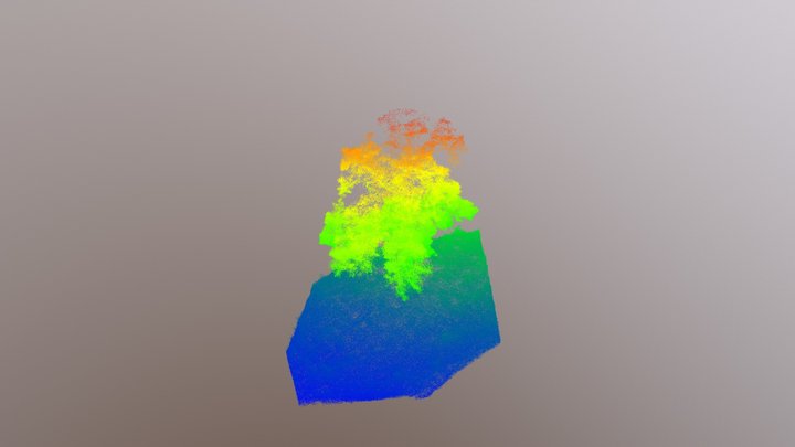 Blue Oak 3D Model