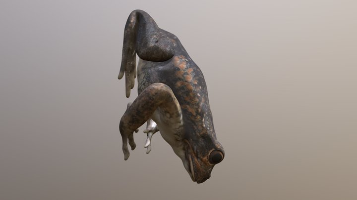 frog 1 – Kostenloses 3D-Modell STL