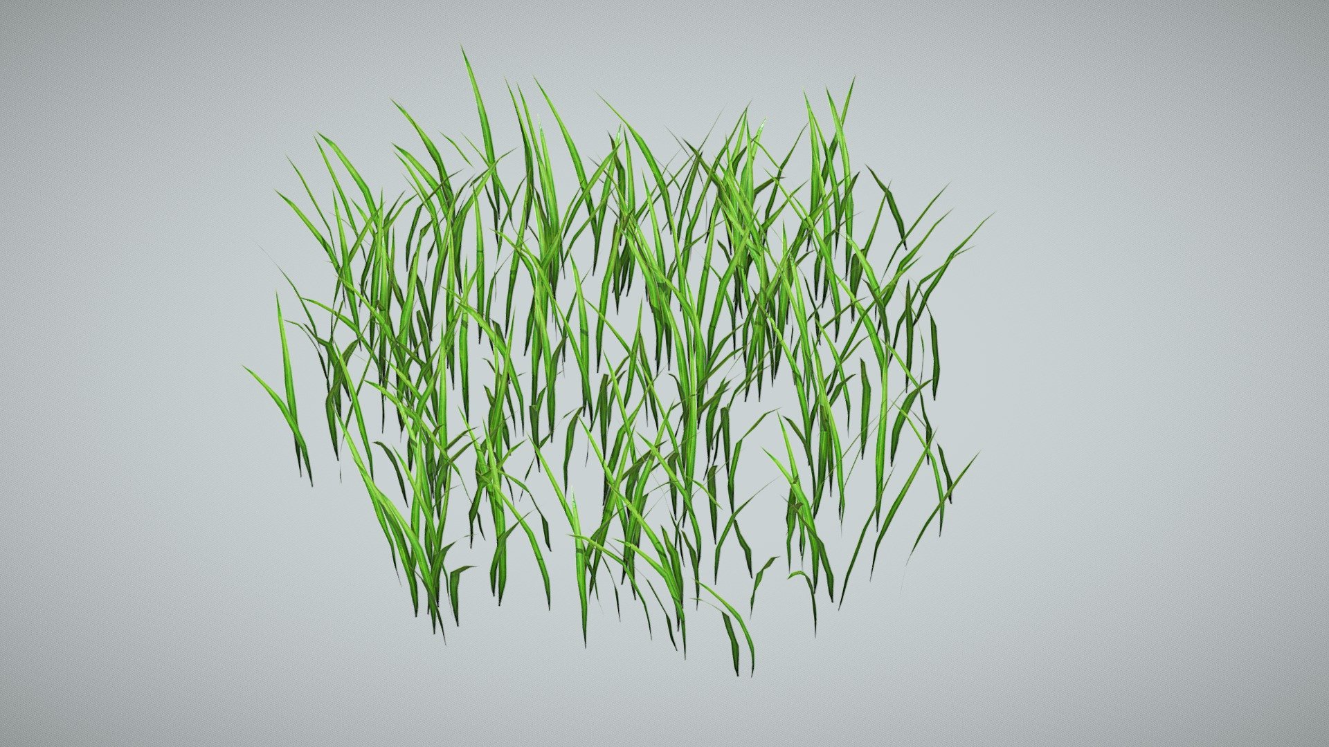 Grass - Buy Royalty Free 3D model by Outlier Spa (@outlier_spa ...