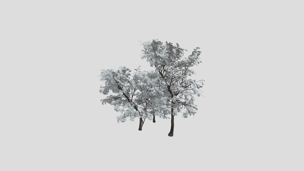 Broadleaf Dense Tree Group
