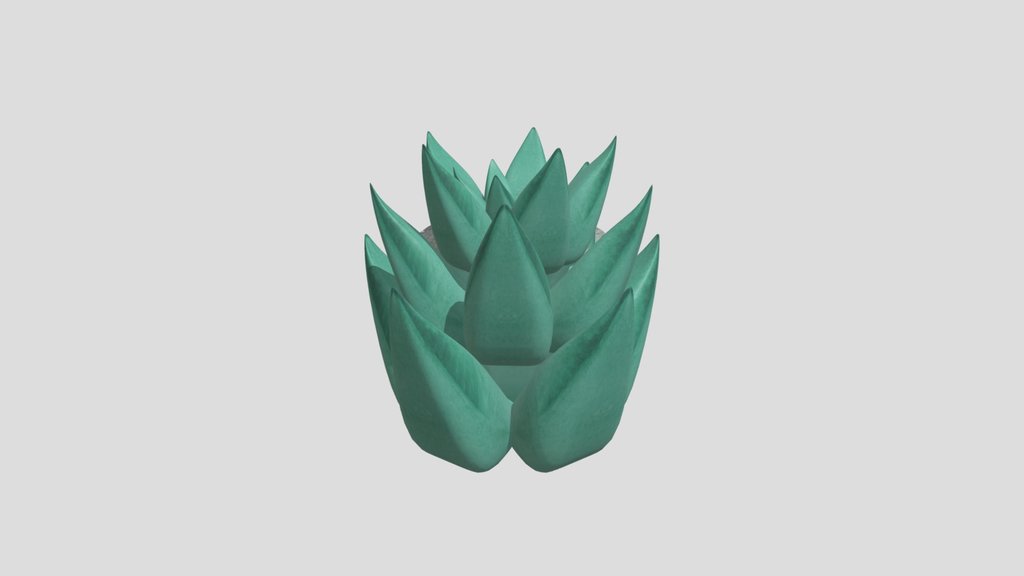 House_Shape_Hanging_Succulent_2e93332d-2a8c-45e4