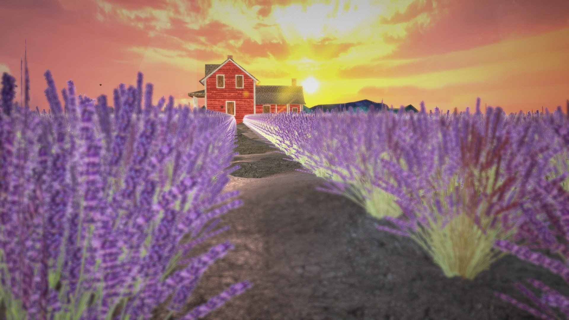 House in lavender field