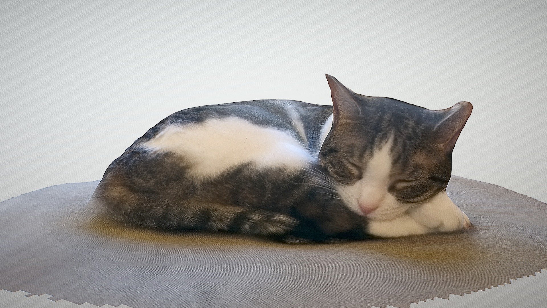 Photogrammetry Vignette: Cat Napping - Download Free 3D model by ...