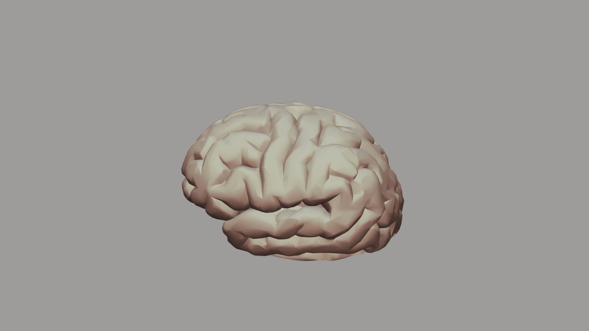 Brain