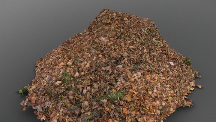 Large pile of leaves