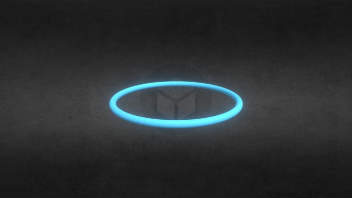 Torus 3D Model