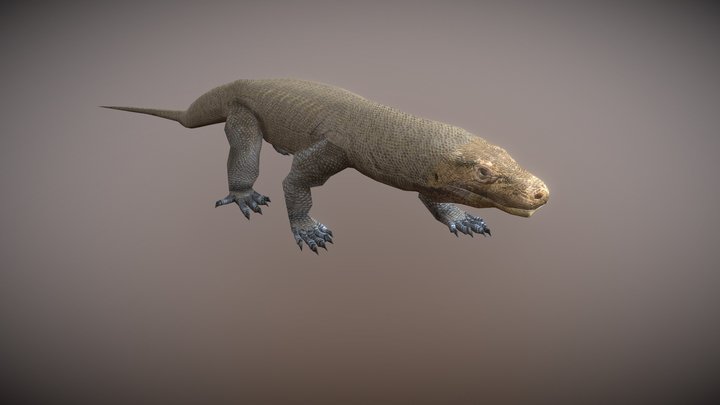 Komodo Dragon | 12+ Animations | Game Creature – Modello 3D gratuito STL