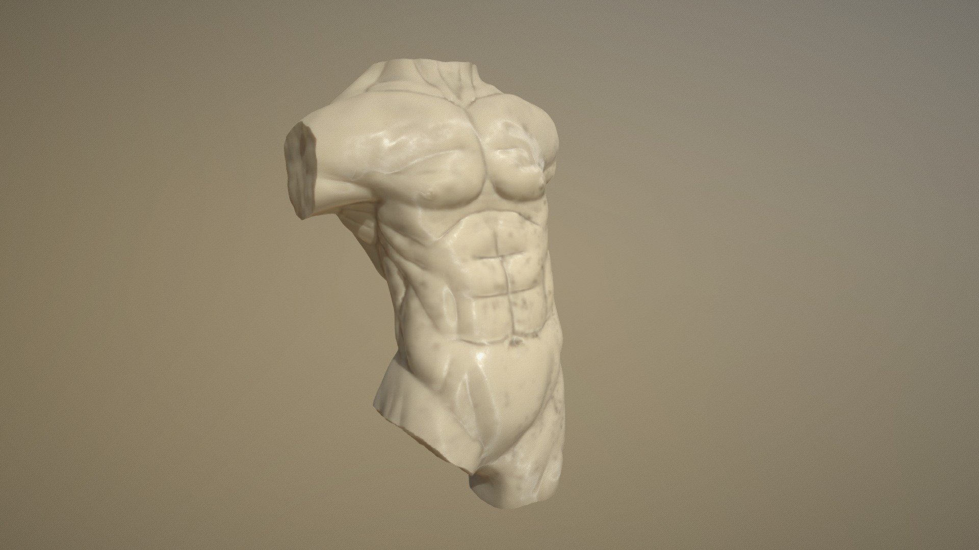 Male Torso