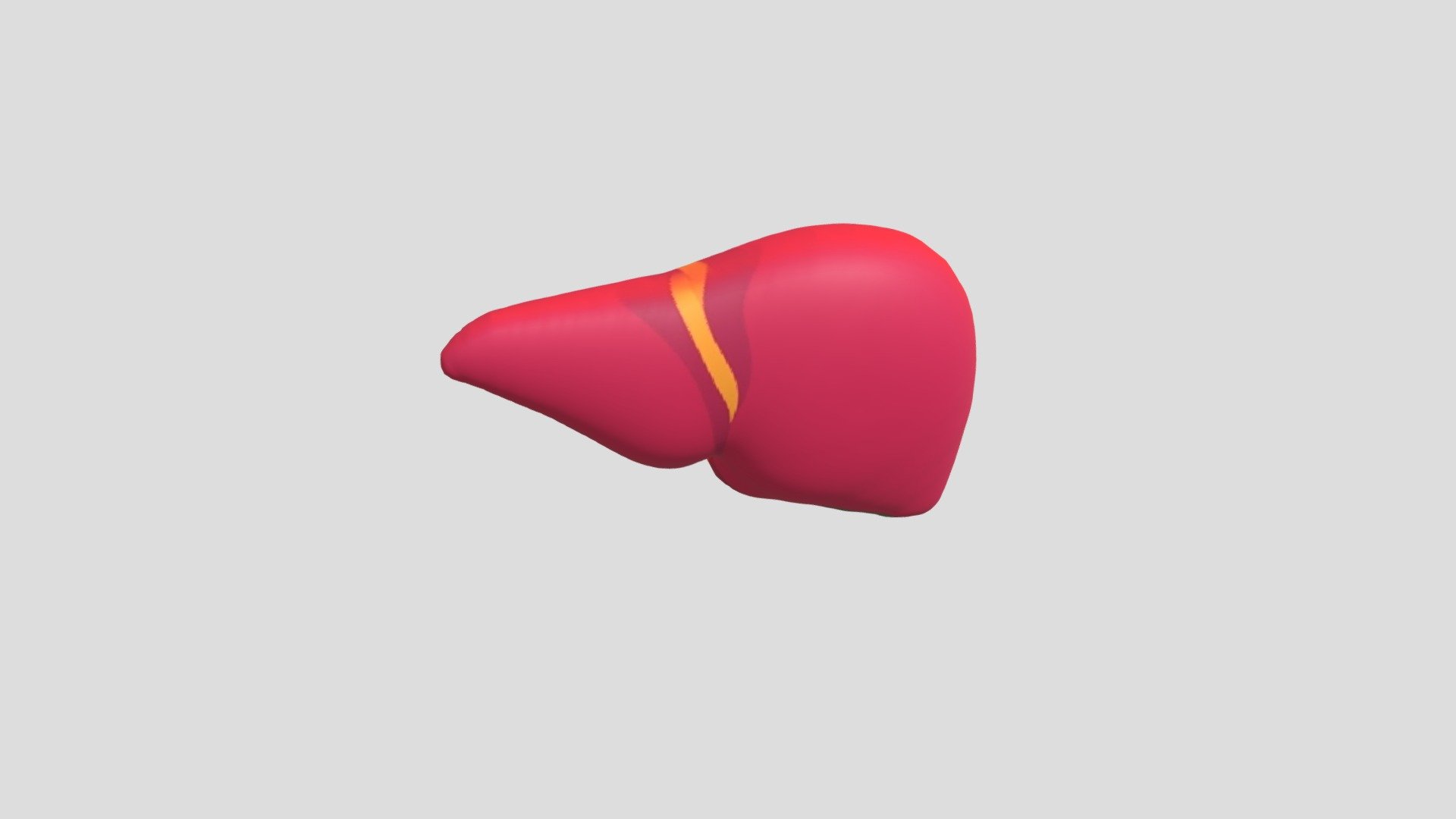 Objek Liver 3D
