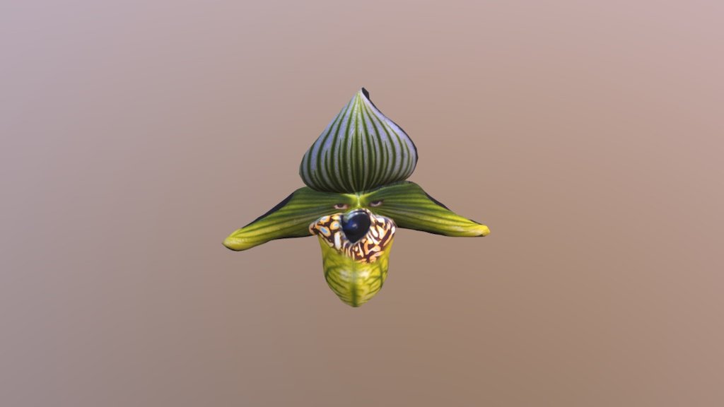 OrchidBucketFace