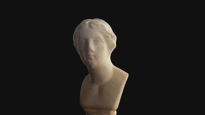 Plaster bust 3D Model