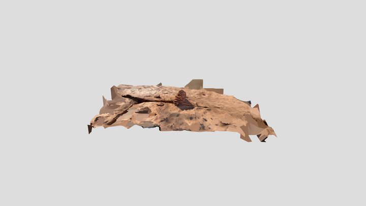 Arch 3D Model