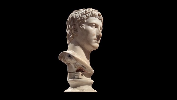 Quickly Scanned Head of Augustus 3D Model