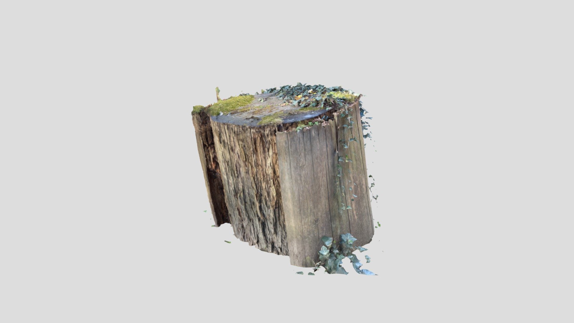 Tree Trunk - Download Free 3D model by m4_nevada [48942f6] - Sketchfab