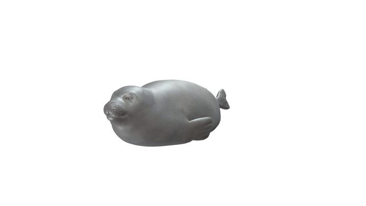 Foca-de-Weddell 3D Model