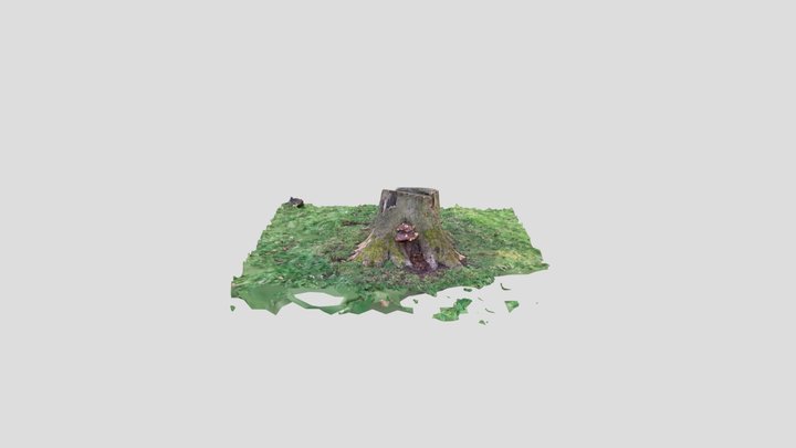 Scan 2023-02-19T20:25:44.582Z 3D Model