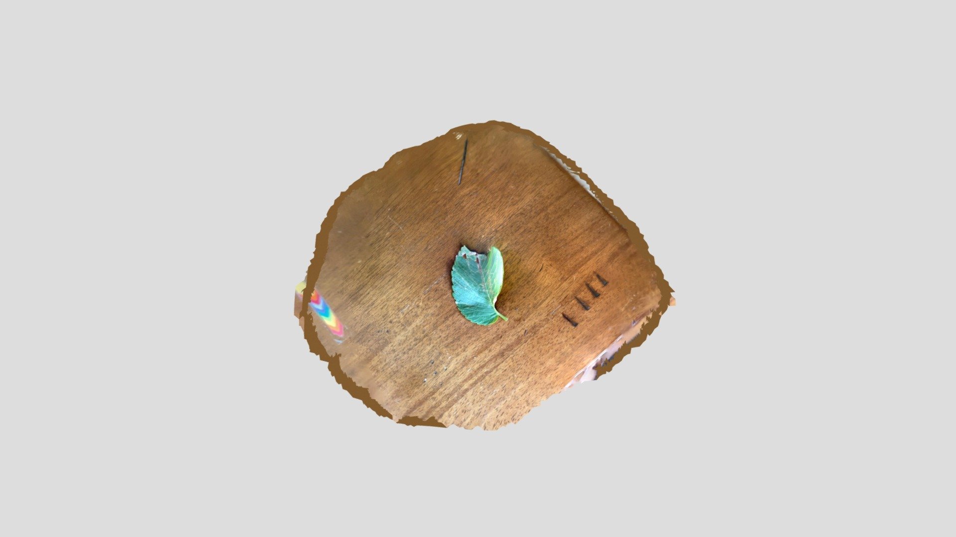 Carol’s Leaf