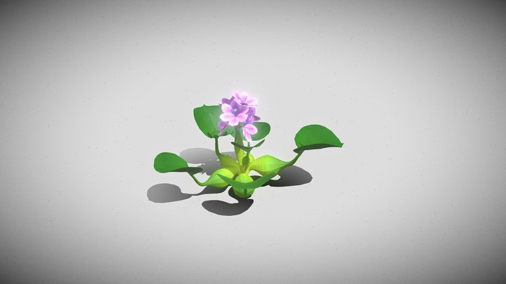 Flower Eichornia 3D Model