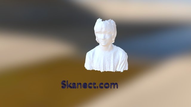 Skanect_v1 3D Model