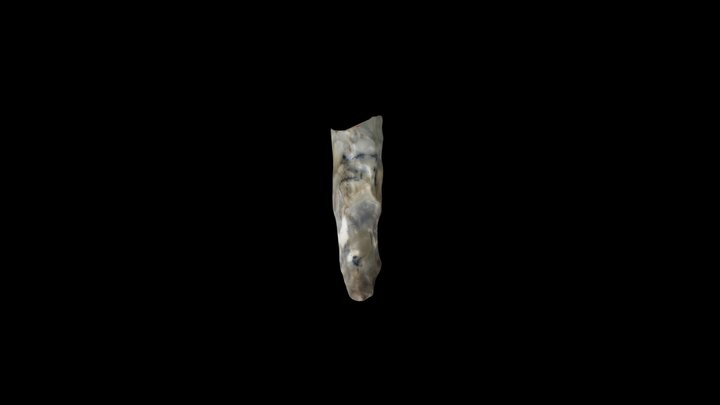 Large pointed weapon (fragment) 3D Model