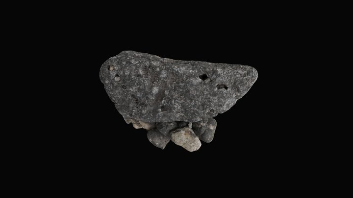 Micro_photogrammetry 3D models - Sketchfab
