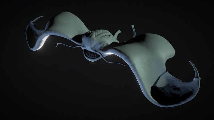 Dragon Ray 3D Model