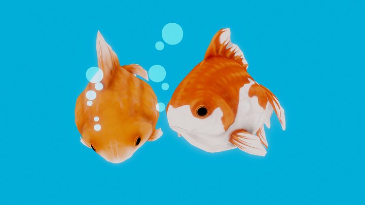 Goldfish 3D Model