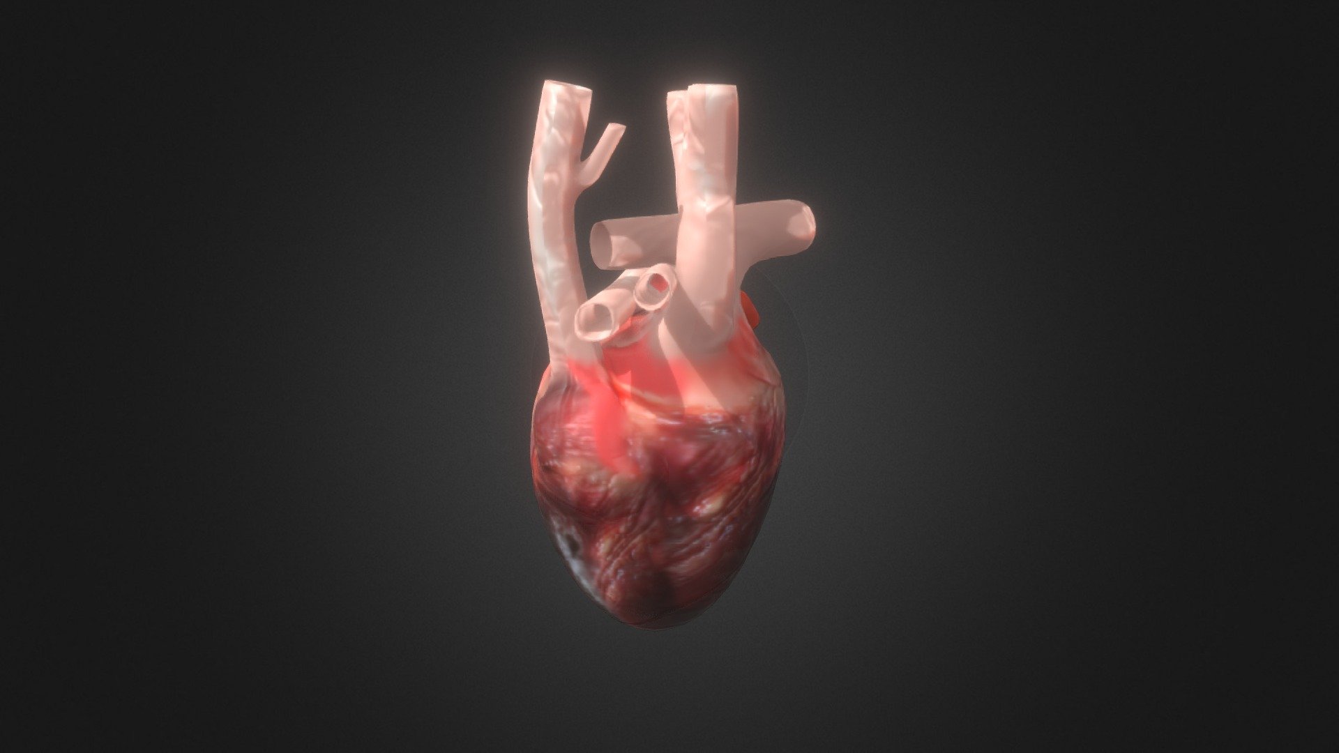 Nimesh Upadhyay_Heart - 3D model by Nimesh Upadhyay (@nimesh94upadhyay ...