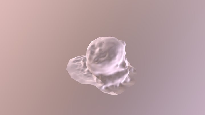 ANTH 394 3D Model