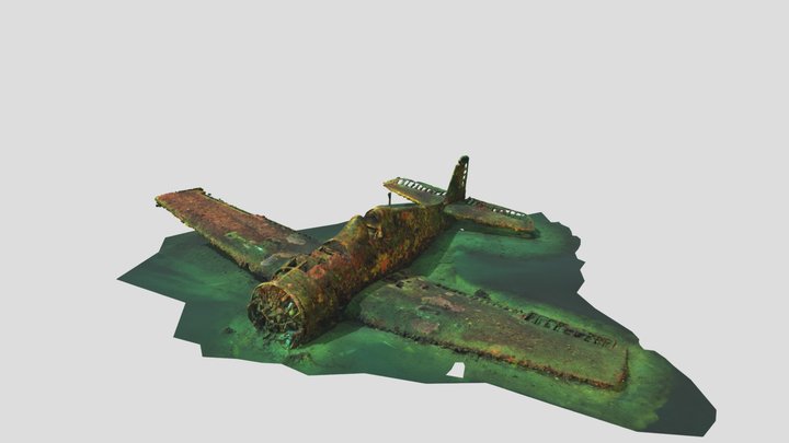 Hellcat wreck - Bormes les Mimosas France 3D Model