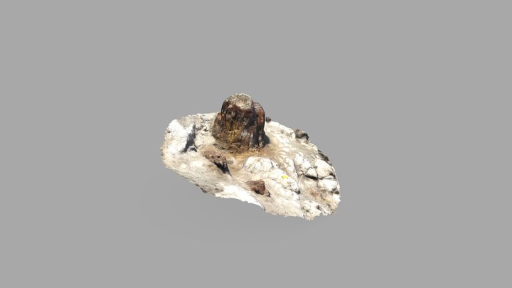 Fossil_111 3D Model