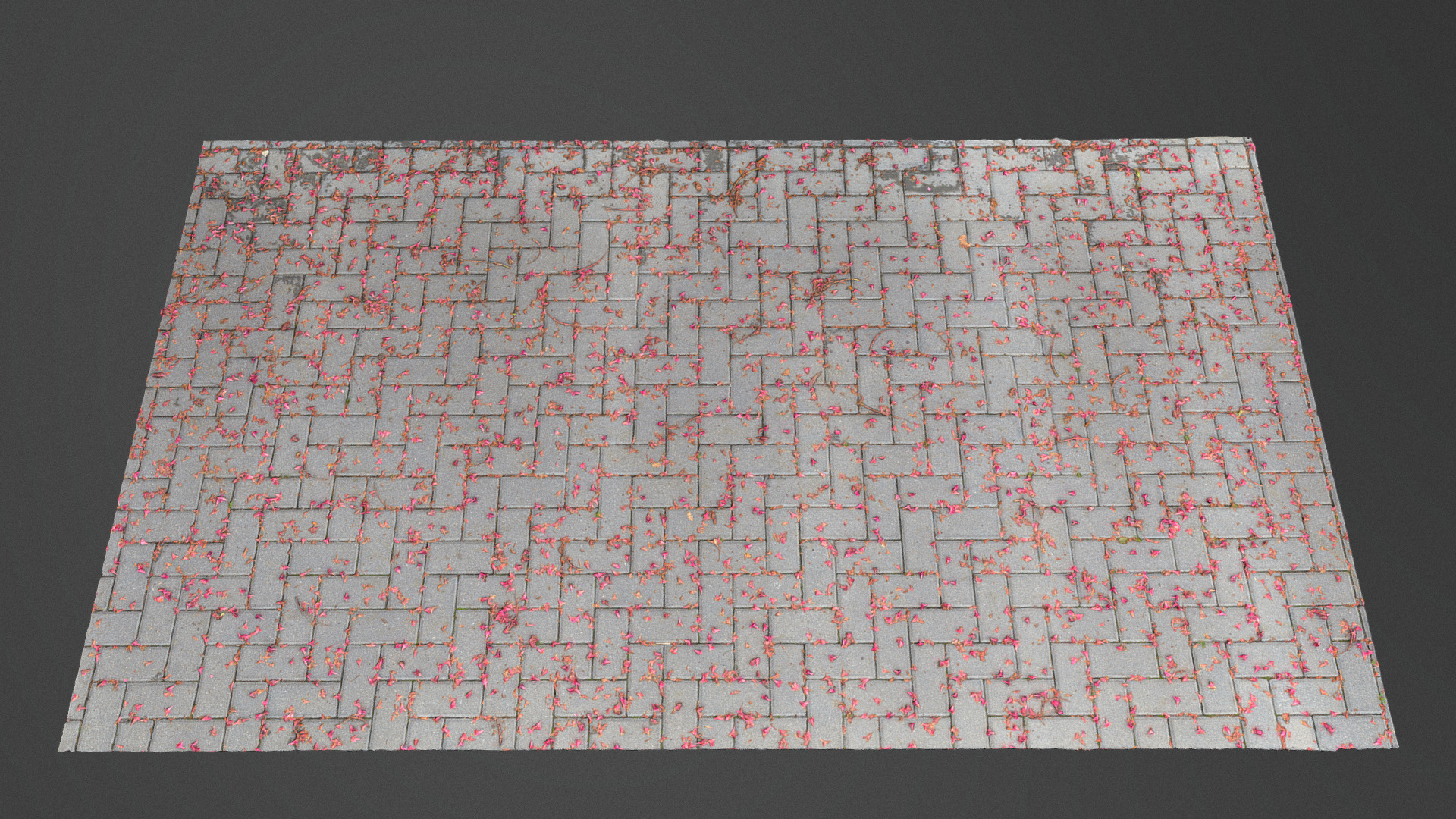 3D model Blossom petal covered sidewalk - This is a 3D model of the Blossom petal covered sidewalk. The 3D model is about a brick wall with a pattern.