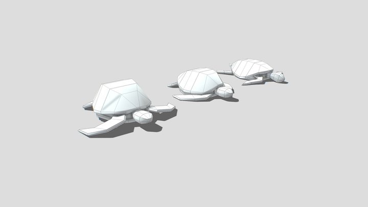 Tortuga TEST 1 3D Model