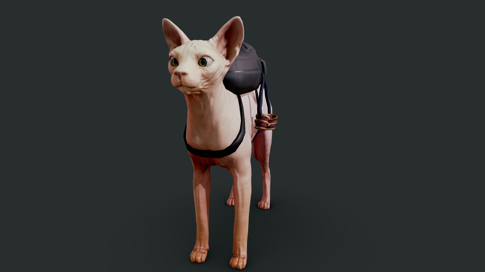 Sphynx Cat - Download Free 3D model by Mika060011 (@CMenaTabuada) [48ae6b5]