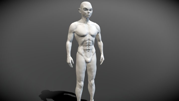Male Basemesh Asian 3D Model