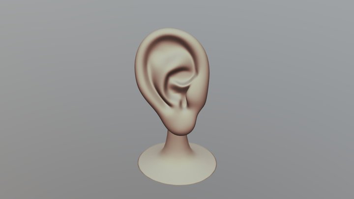 Ear Stand 3D Model