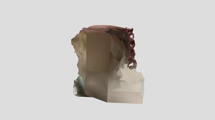 Scary Head 3D 3D Model