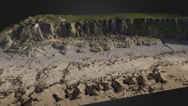 Beach in Ballyduff 3D Model