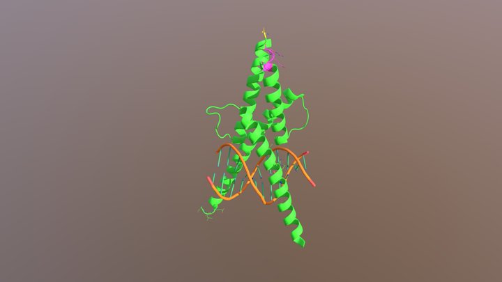 SCL:E47 complex bound to DNA (2YPB) 3D Model