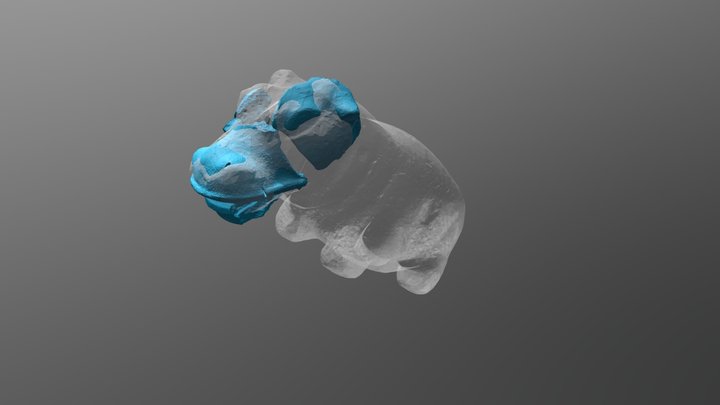 Faience Hippo Head 3D Model