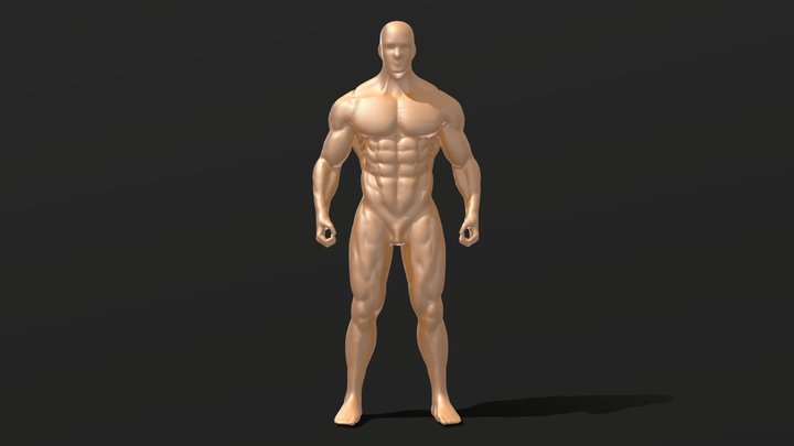 Muscle body 3D Model
