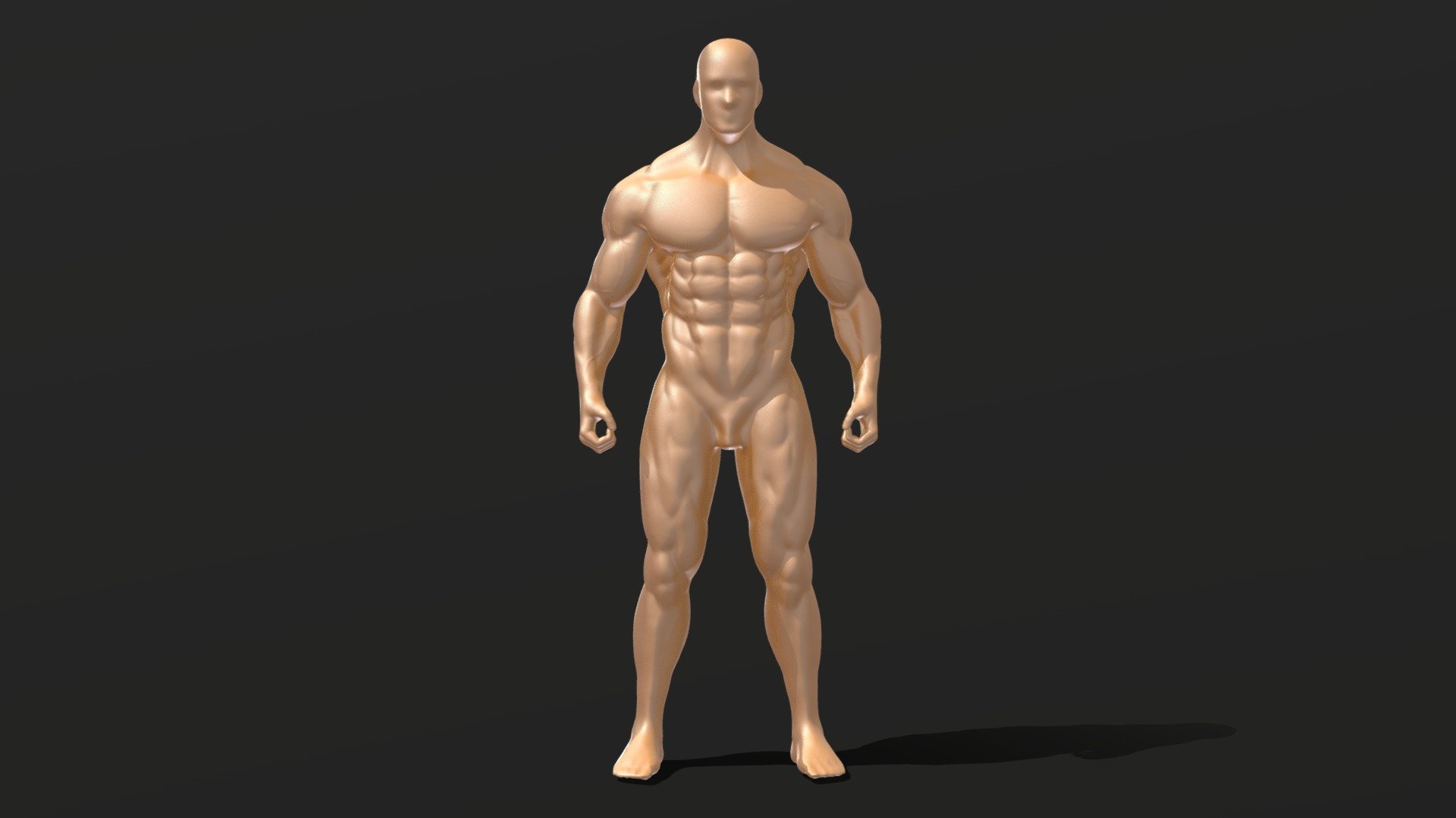 Muscle body