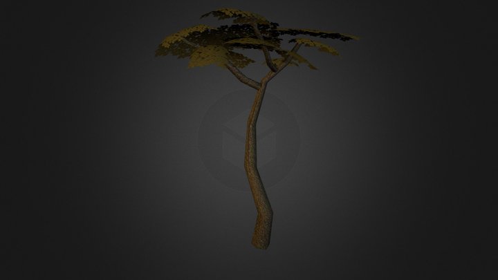 Tree 3D Model