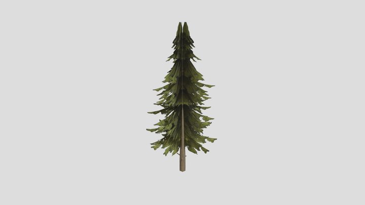 low poly forest tree 3D Model