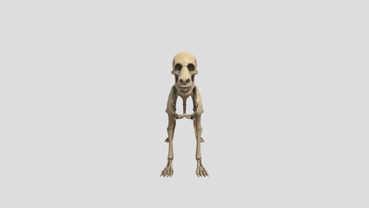 Perro_vertebrado 3D Model
