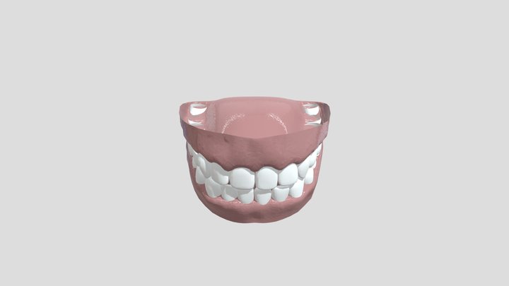 human_teeth 3D Model