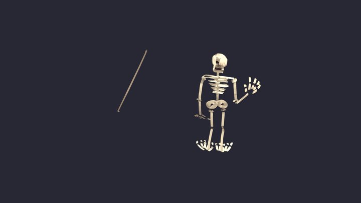 Mr. Bones 3D Model