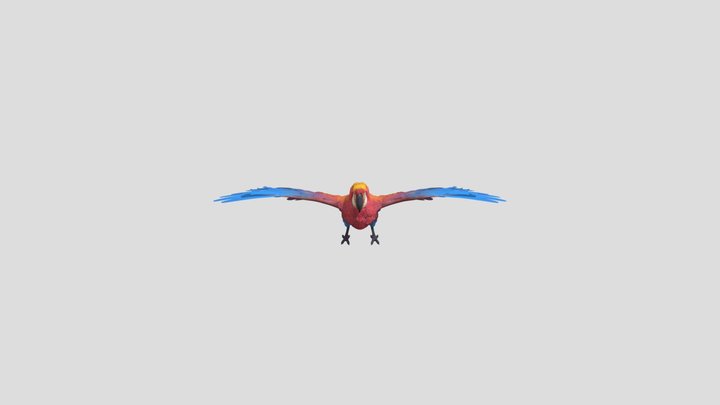 Parrot rigged - 100% free for game and animation 3D Model